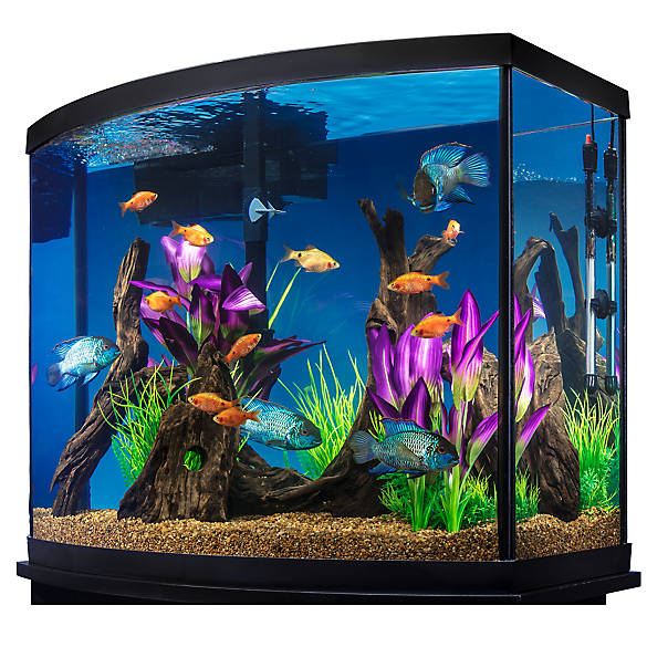 Short story – An Aquarium Mesh