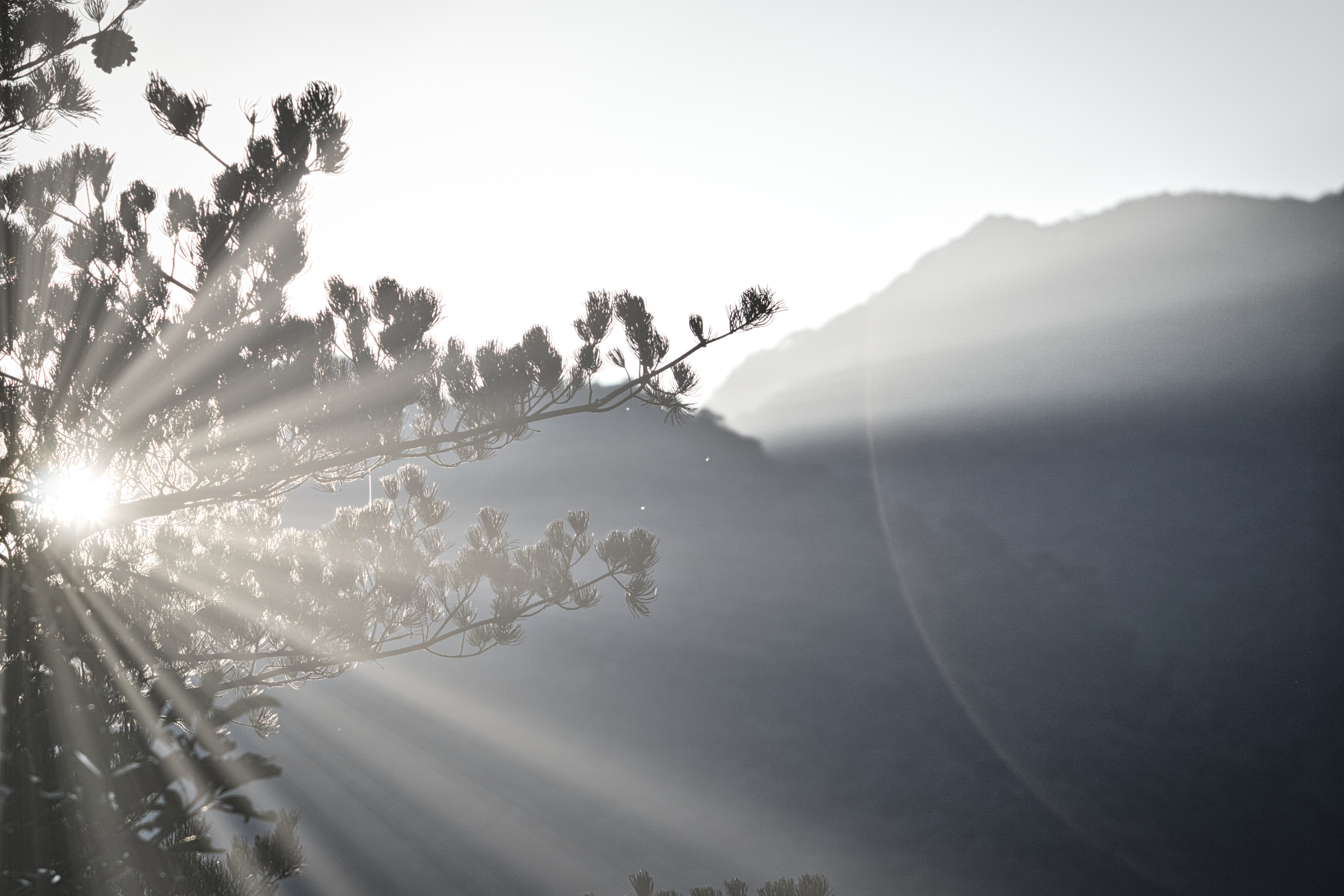 To New Beginnings… (#100WordStory)