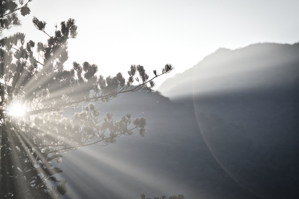 To New Beginnings… (#100WordStory)